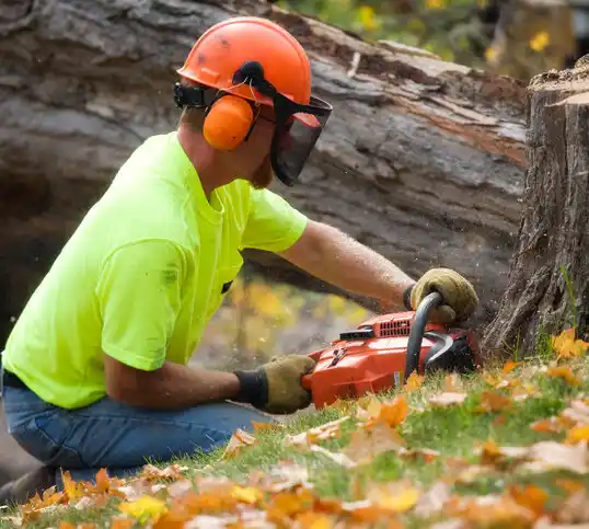 tree services South Euclid